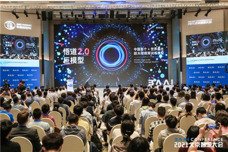 人工智能模型：解析与应用